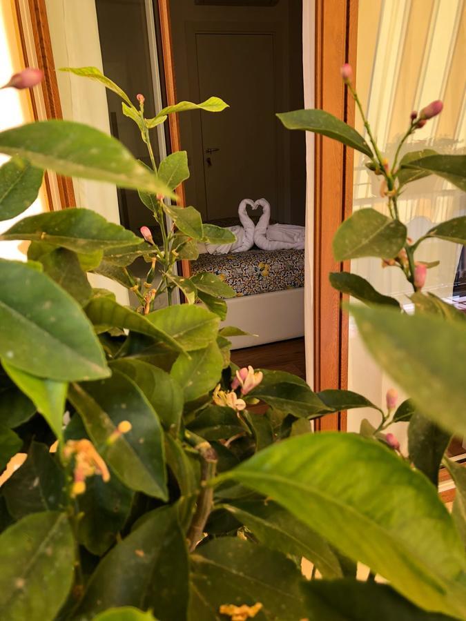 B&B La Rada Sorrento Ngoại thất bức ảnh